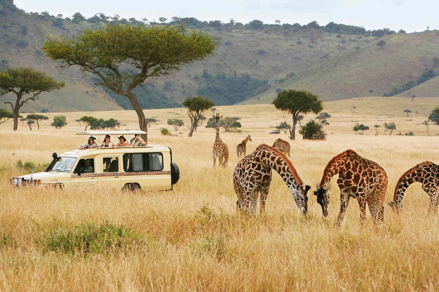 Mayson Travels - Safari Adventure